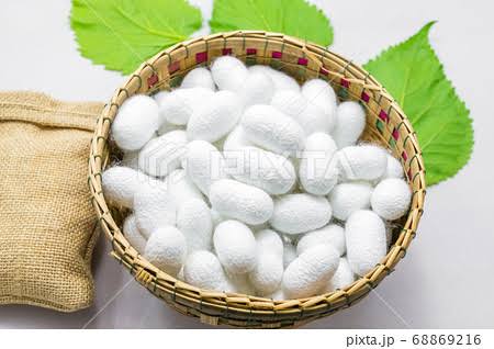 伊勢神宮「天皇からのお供え物」を元職員がヤフオクに出品していた