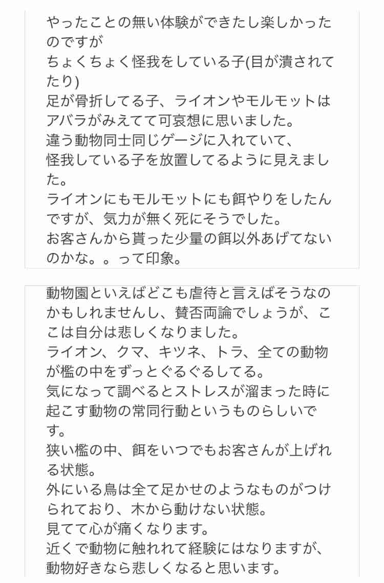 動物が好き過ぎてツラい…