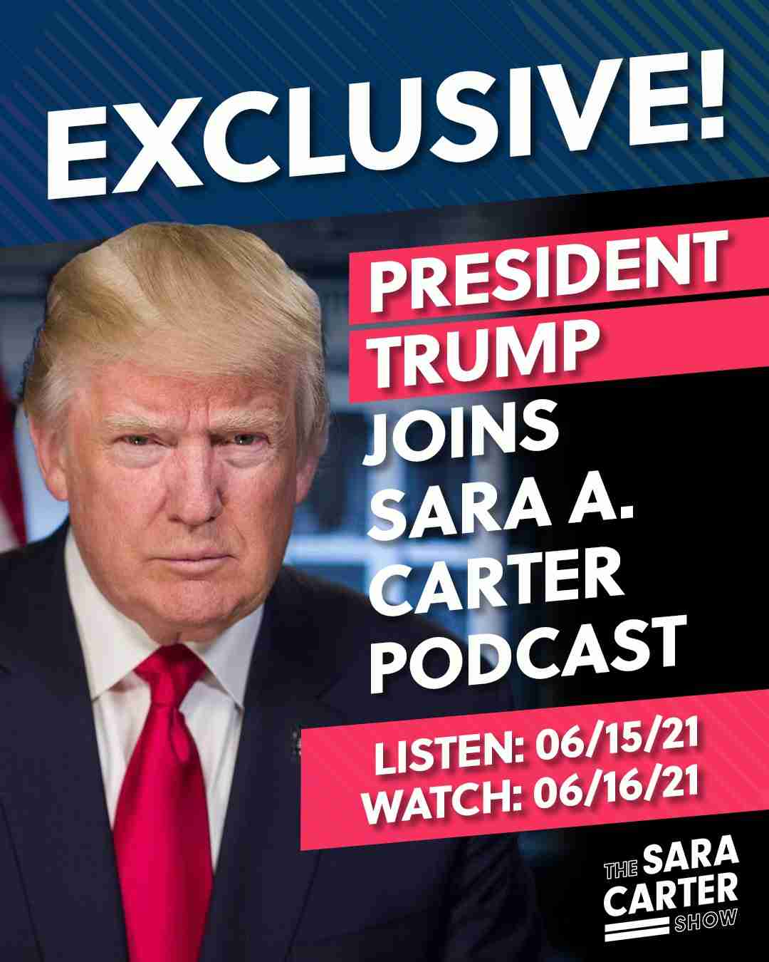 B級パニック映画が好き