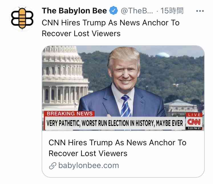 B級パニック映画が好き