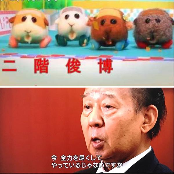 癒しのモフモフ！「PUI PUI モルカー」劇場版の予告編が公開