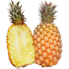 オススメのパイン味教えて