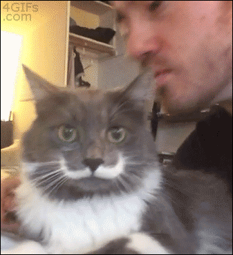キスシーンの画像を貼ろう【アニメ・漫画】