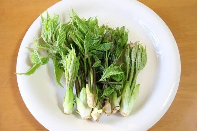 もっと早くこの食べ物の美味しさに気づきたかった！