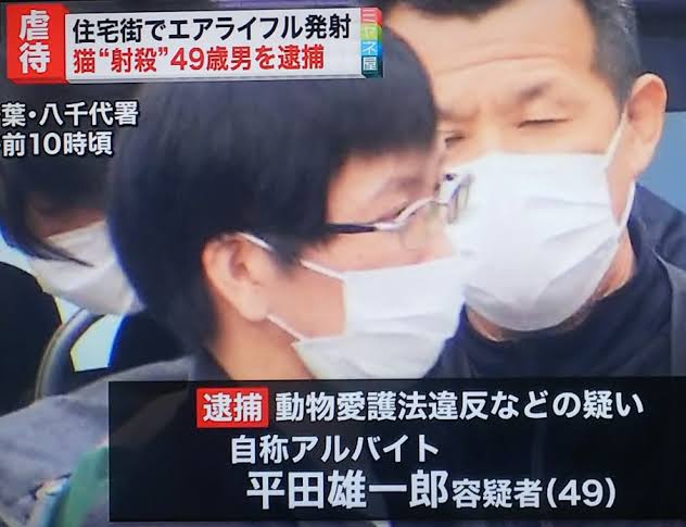 空気銃で猫殺した疑い　40代男性逮捕　動物愛護法違反容疑　千葉