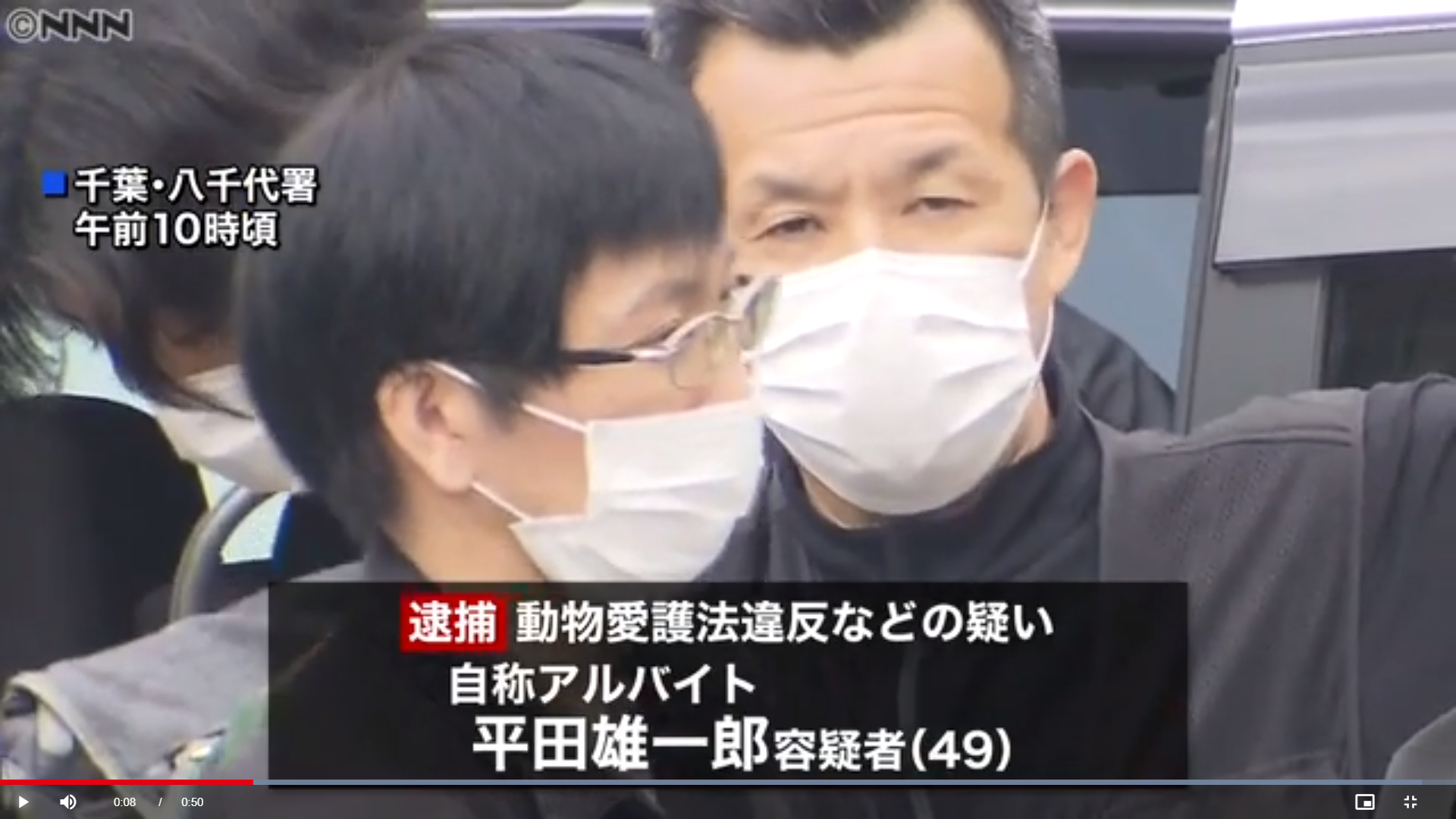 空気銃で猫殺した疑い　40代男性逮捕　動物愛護法違反容疑　千葉