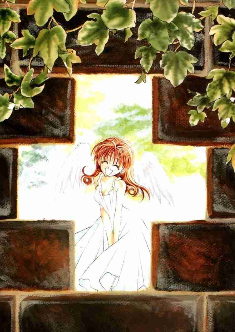 【アンチお断り】種村有菜の漫画を語ろう！