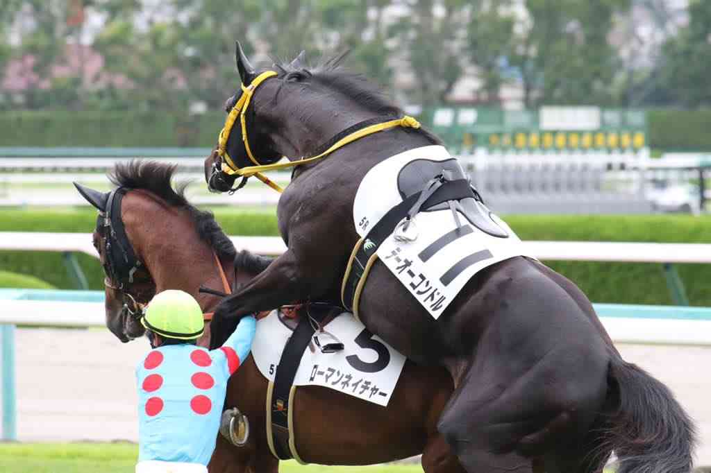 【競馬】UMAJO集まれ！part8