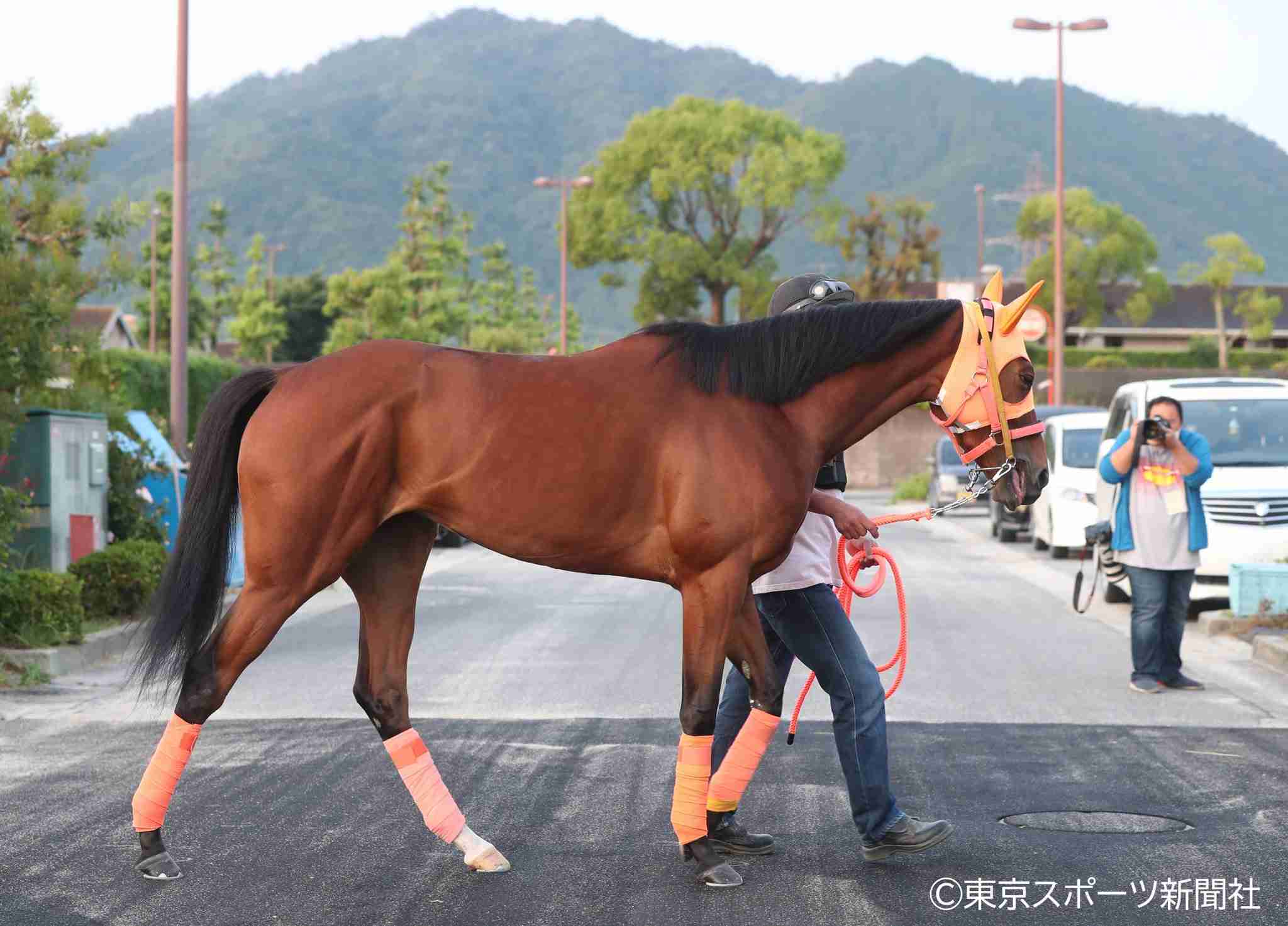 【競馬】UMAJO集まれ！part8