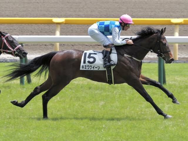 【競馬】UMAJO集まれ！part8