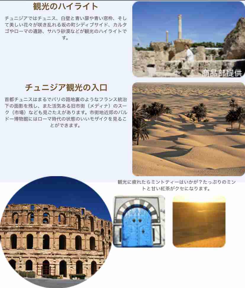 アフリカに行ったことある方！
