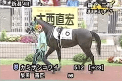 馬主になったら付けたい名前