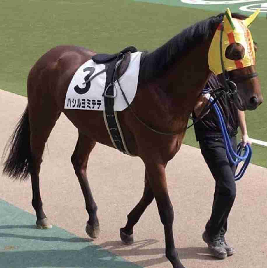 馬主になったら付けたい名前