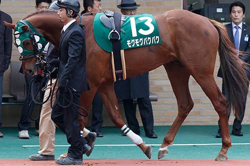馬主になったら付けたい名前