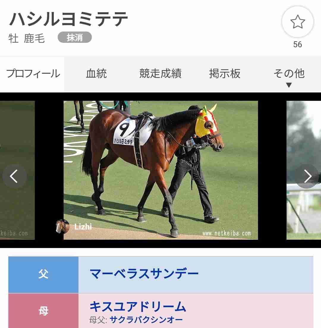 馬主になったら付けたい名前