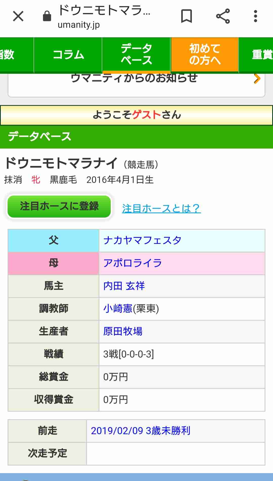 馬主になったら付けたい名前