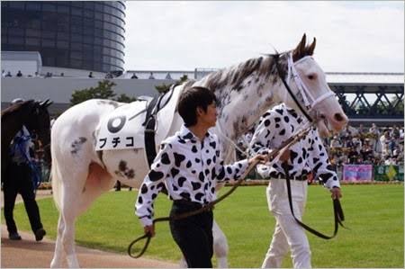 馬主になったら付けたい名前