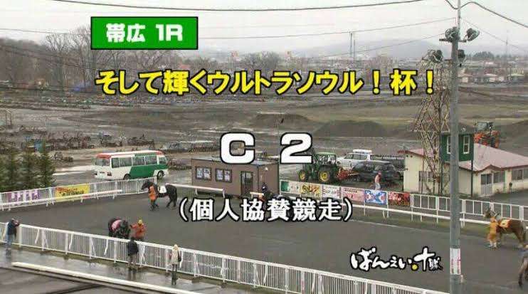 馬主になったら付けたい名前