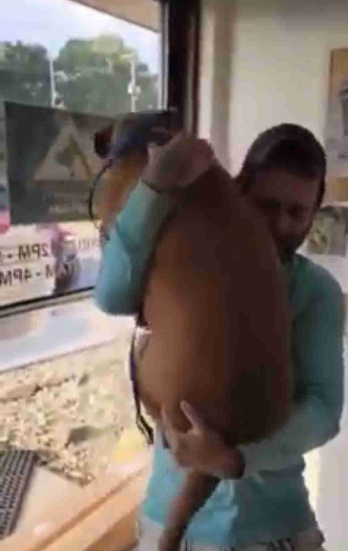 「犬だけは返してくれ！」　愛犬と車を盗まれた男性　その4日後…