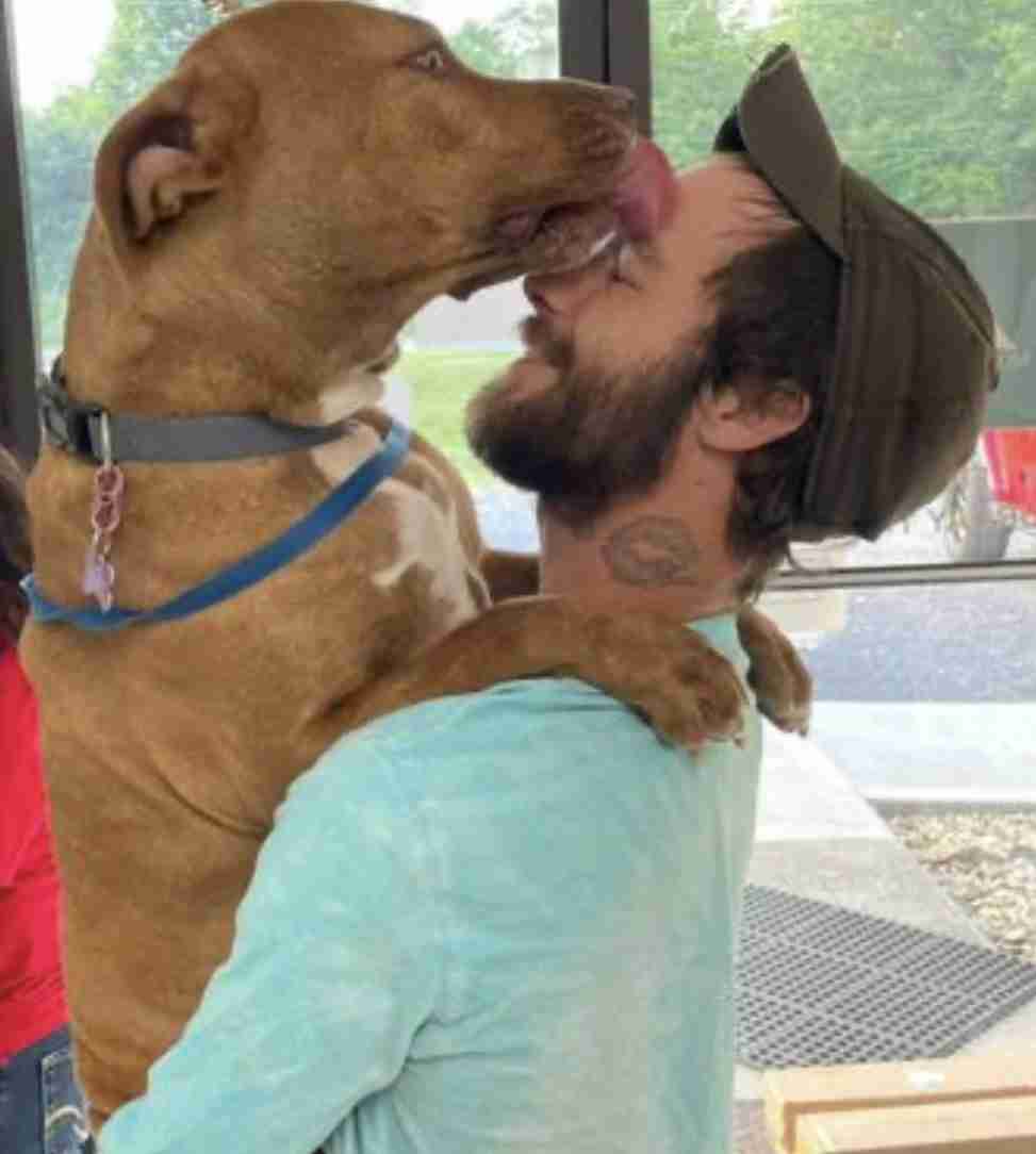 「犬だけは返してくれ！」　愛犬と車を盗まれた男性　その4日後…