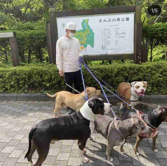 愛犬10頭との田園暮らし、新しい隣人から「うるさい」とクレーム…防音対策しないとダメ?