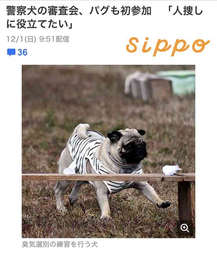 行方不明の女性発見、警察犬を表彰…副賞はドッグフード6・5キロ