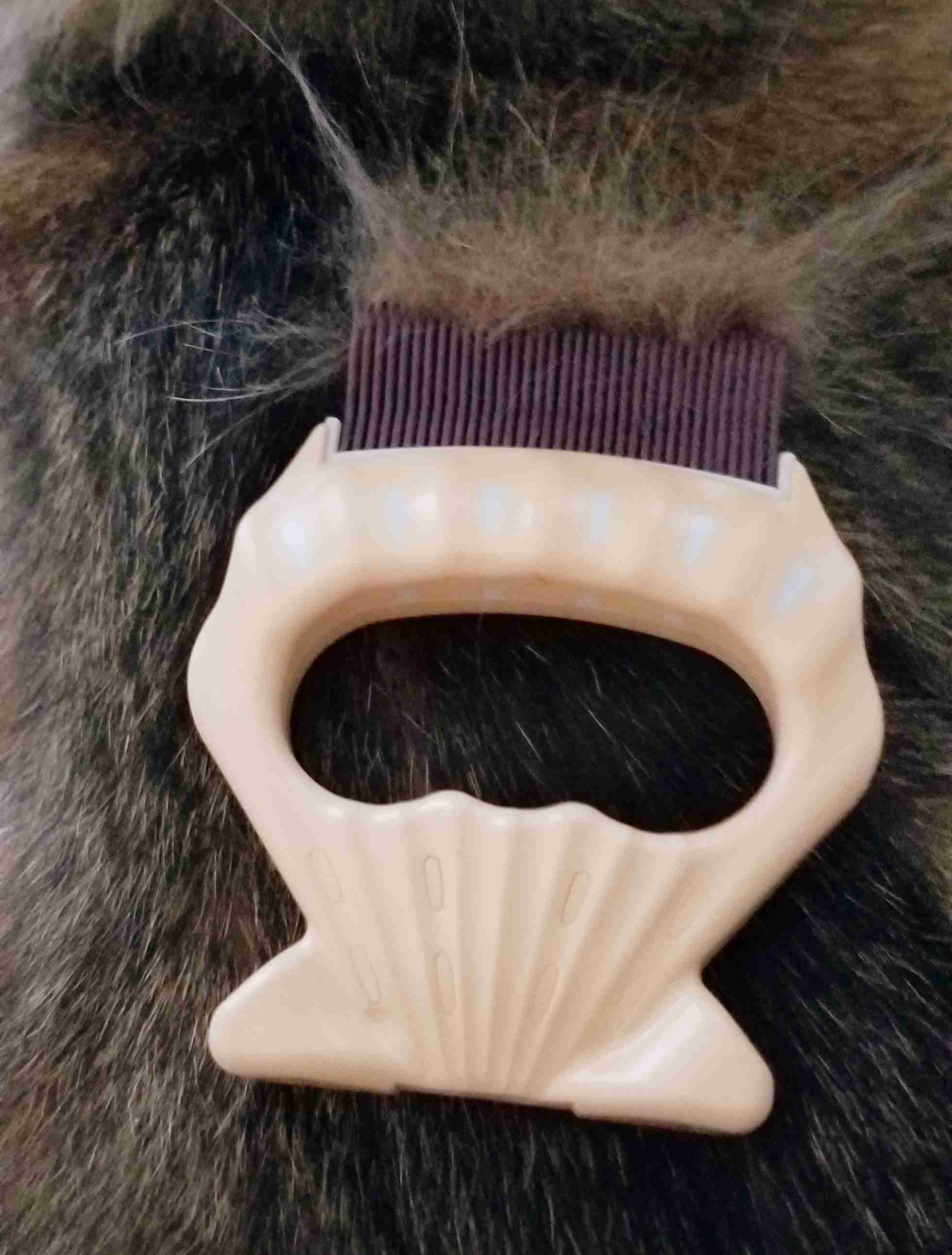 おすすめの猫のブラシが知りたい
