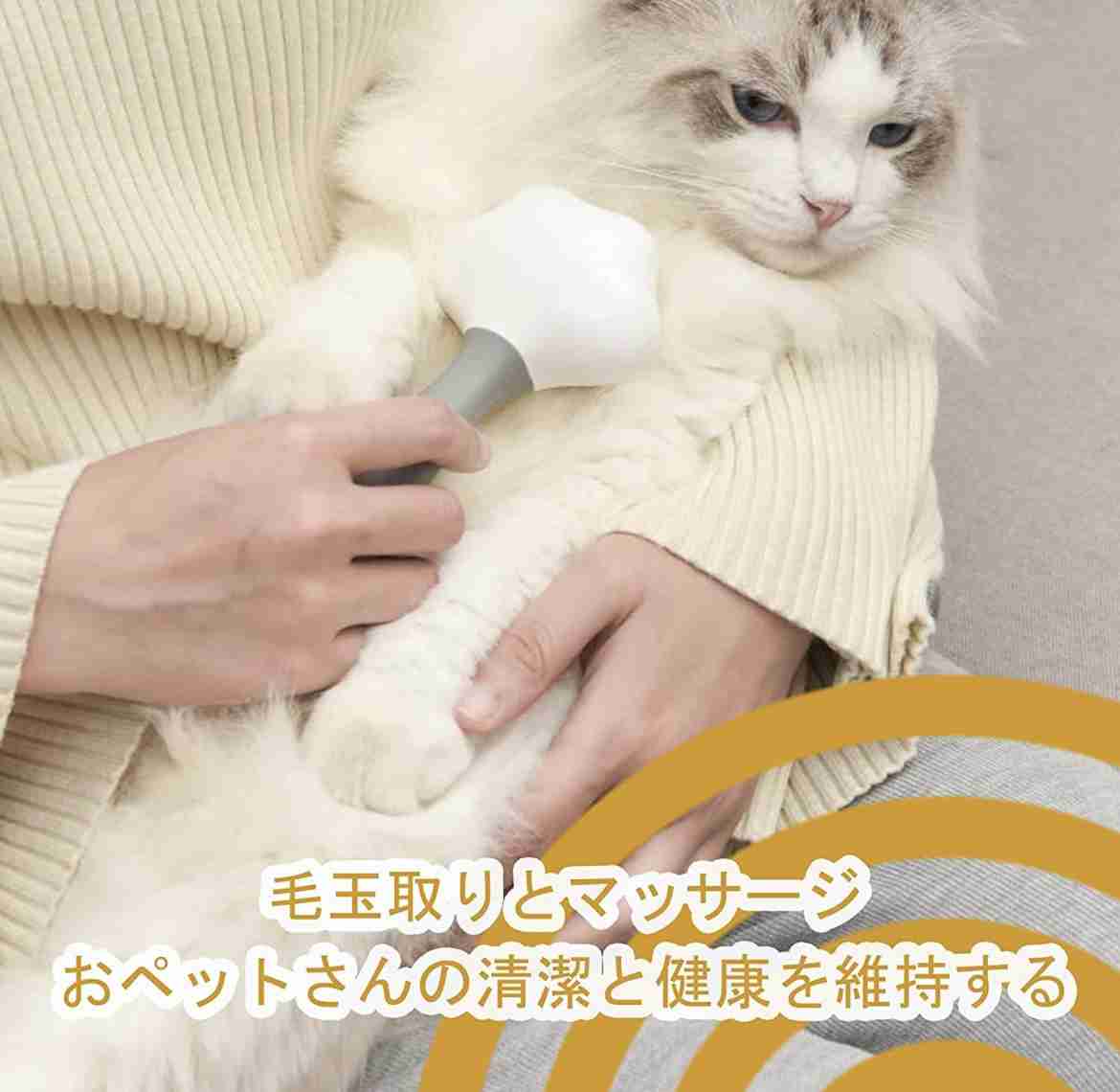 おすすめの猫のブラシが知りたい