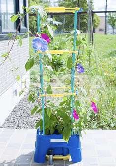 小学校の頃の夏の思い出