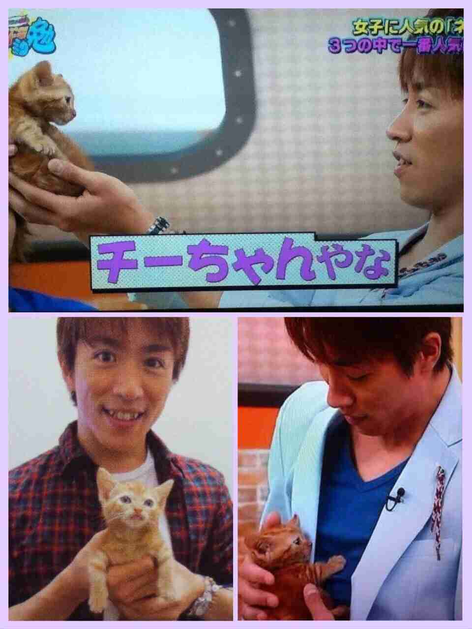 猫好き男性有名人！