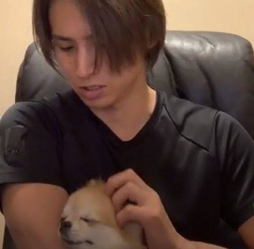 猫好き男性有名人！