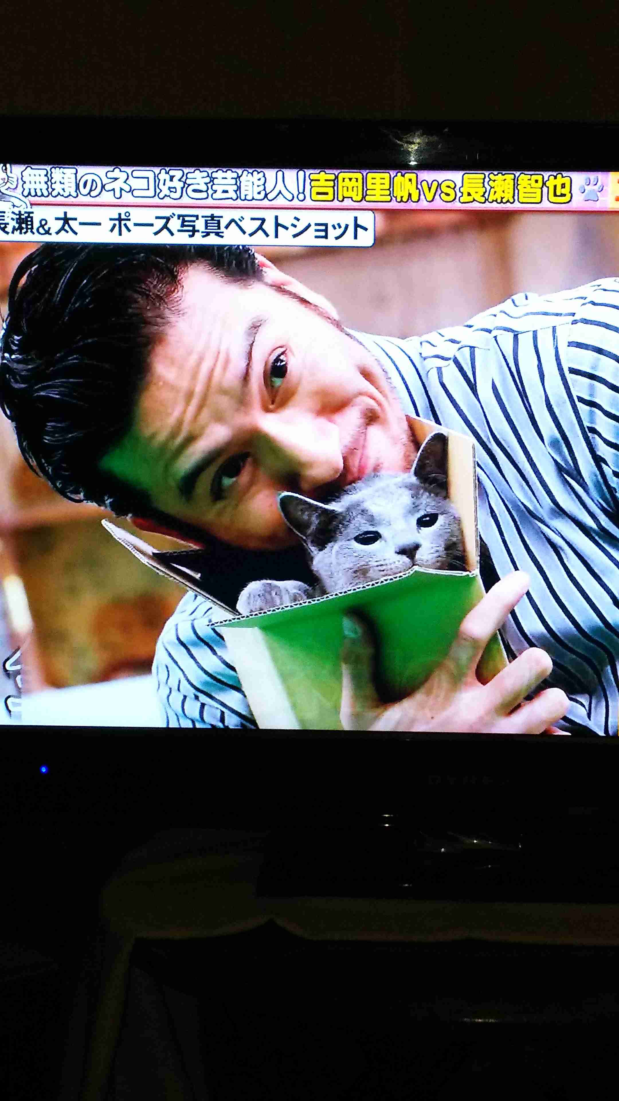 猫好き男性有名人！