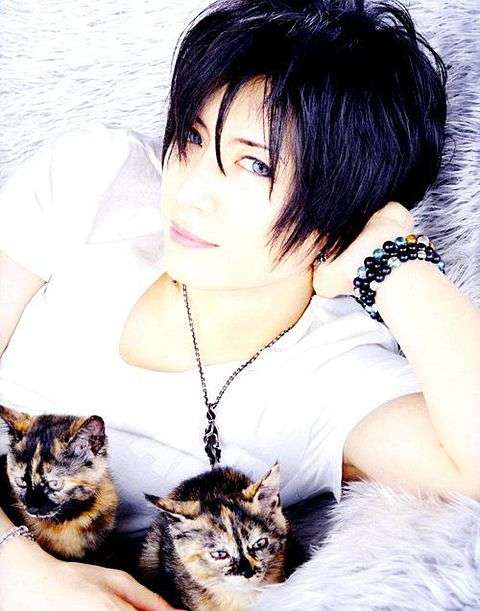 猫好き男性有名人！