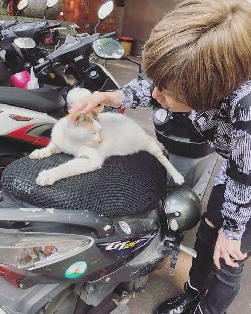 猫好き男性有名人！