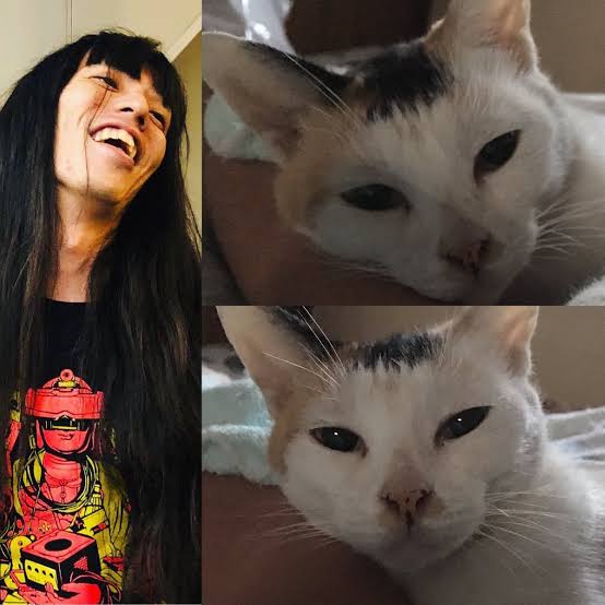 猫好き男性有名人！