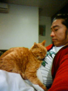 猫好き男性有名人！