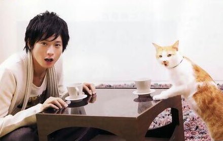 猫好き男性有名人！