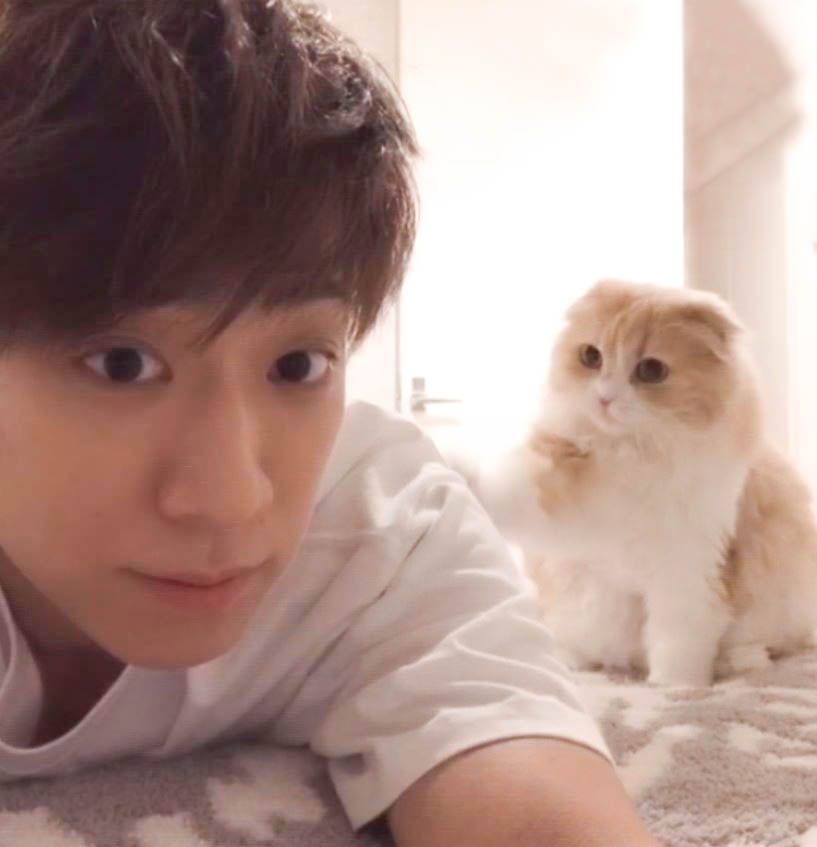 猫好き男性有名人！