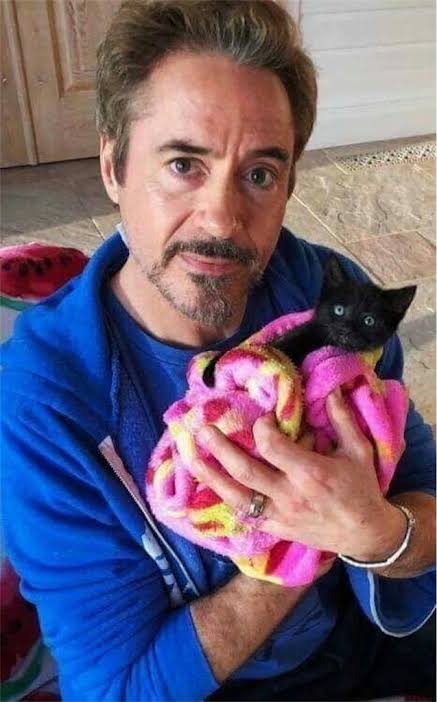 猫好き男性有名人！