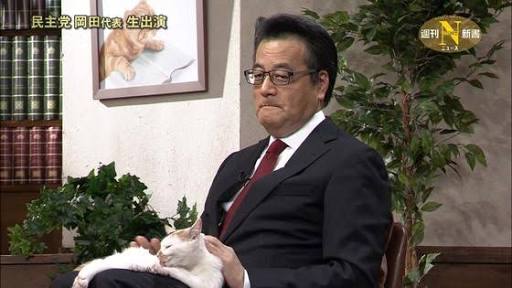 猫好き男性有名人！