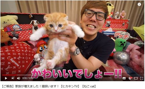 猫好き男性有名人！