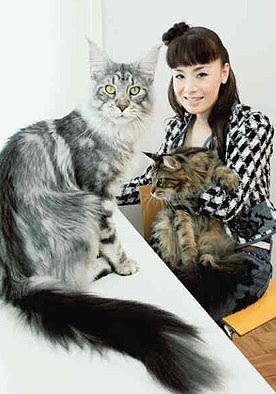 猫好き男性有名人！