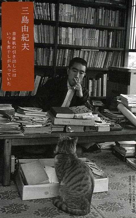 猫好き男性有名人！