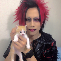 猫好き男性有名人！