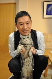 猫好き男性有名人！