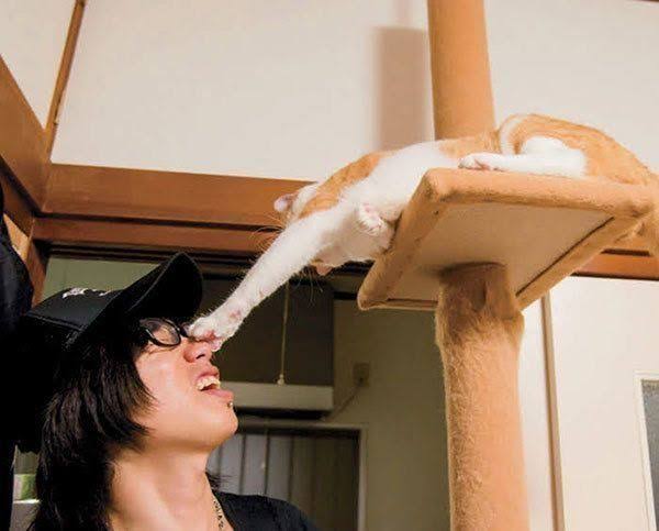 猫好き男性有名人！