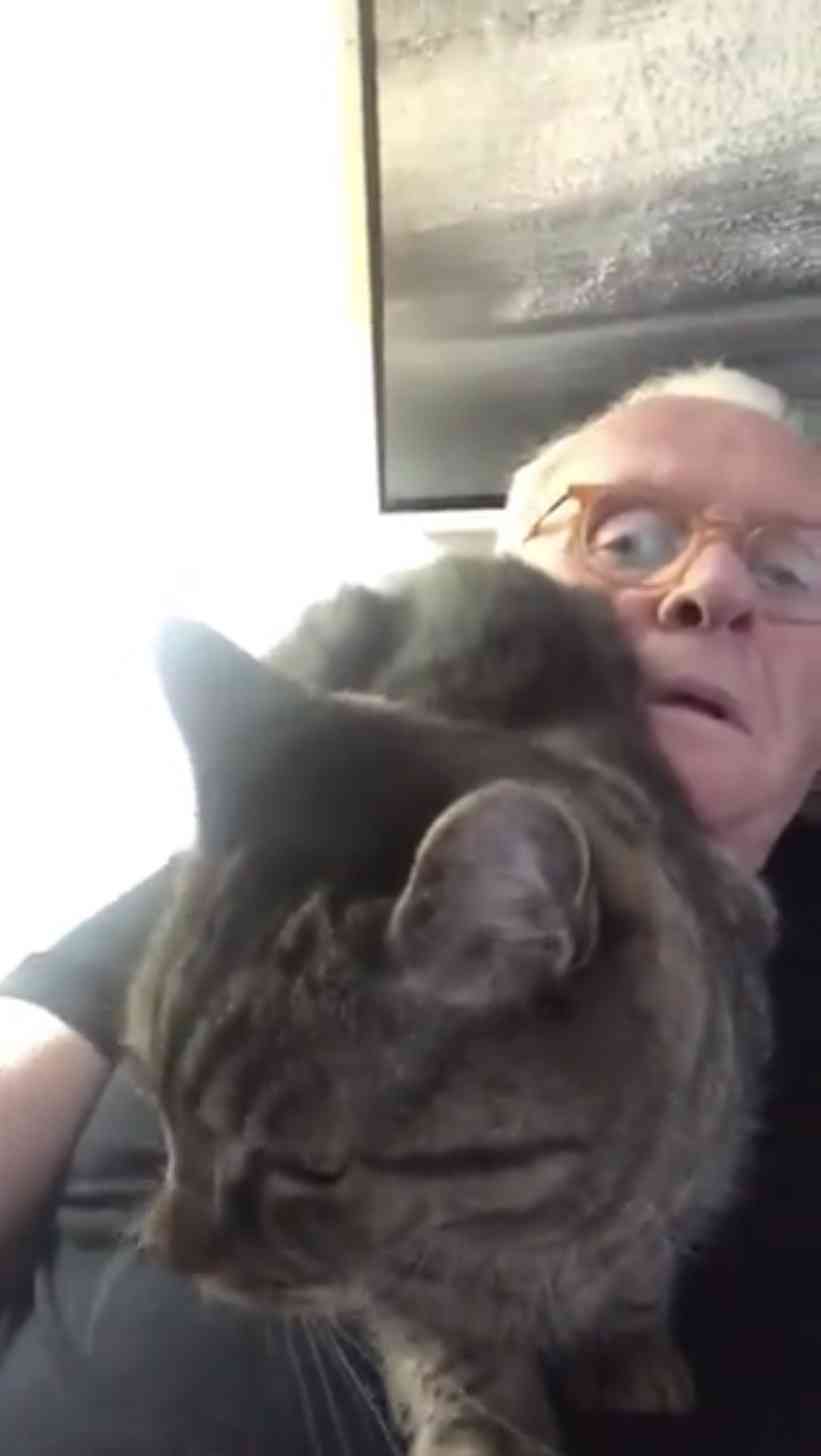 猫好き男性有名人！