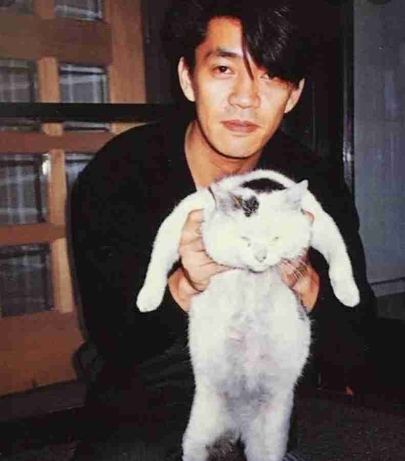 猫好き男性有名人！