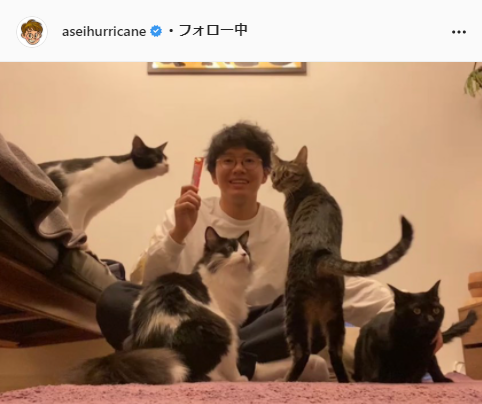 猫好き男性有名人！