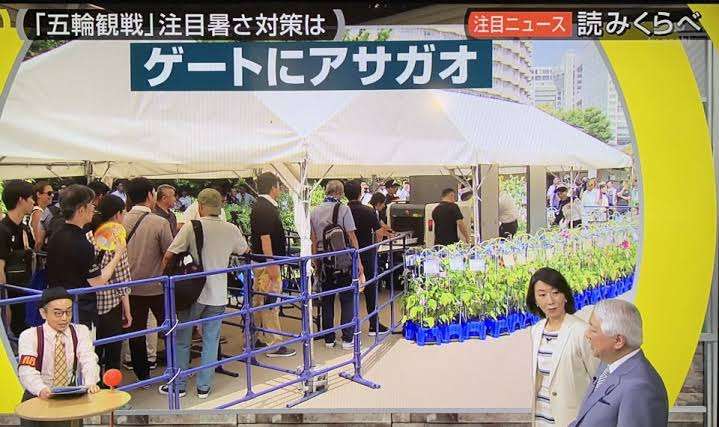 東京都内の全パブリックビューイング中止　菅首相と小池都知事が会談